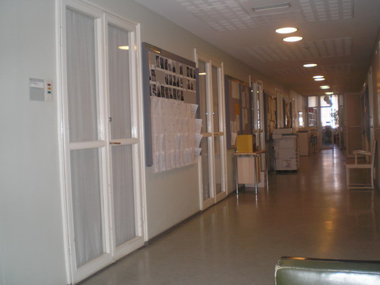 Special facilities for professors